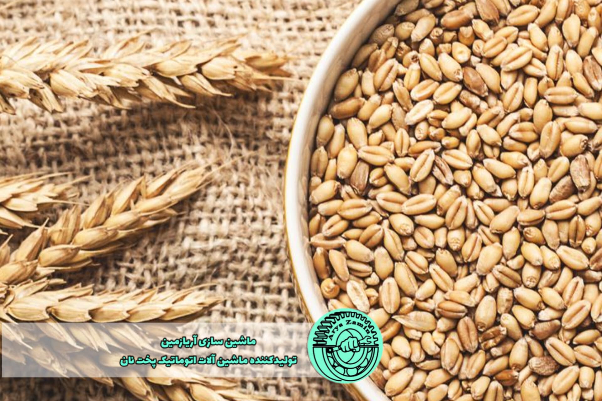 تفاوت نان سفید و نان سبوس‌دار در تغذیه